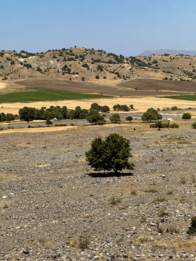 Mühye'de Manzaralı 900 m² Villa İmarlı Arsa
